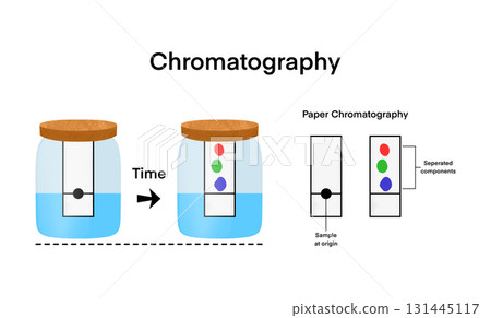 chromatography analytical method for the separation of a mixture into its individual components, Chromatography is a technique used to separate and analyze mixtures, infographic elements for design 131445117