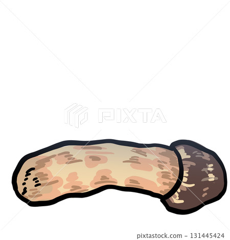 Illustration of wilted matsutake mushroom 131445424