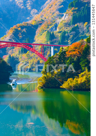 Shogawa Gorge (Autumn) 131445647