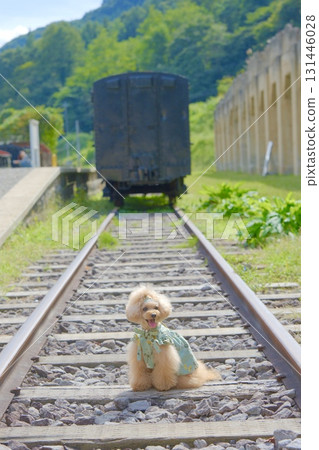 Old Taishi Station and a toy poodle 131446028