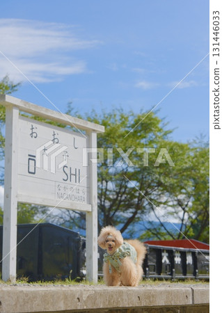 Old Taishi Station and a toy poodle 131446033