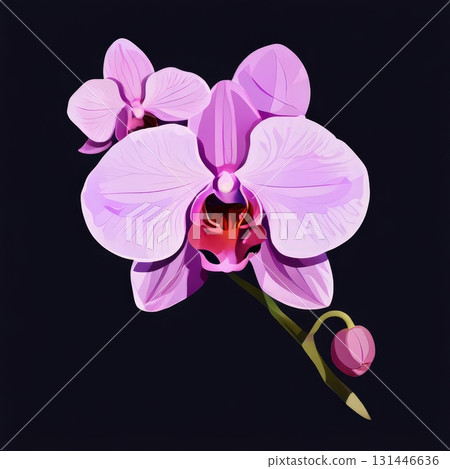 an AI Image Generator, Elegant White Orchid Duo With Pink Center Against Magenta an AI Image Generator, Elegant White Orchid Duo With Pink Center Against Magenta 131446636
