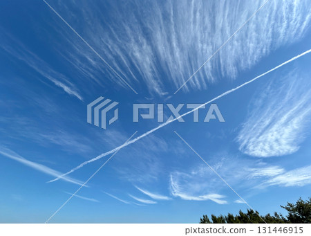 Cirrus clouds and contrails 131446915