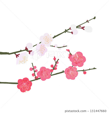 預示春天到來的日本花卉,透明背景上的梅花 預示春天到來的日本花卉,透明背景上的梅花 131447660