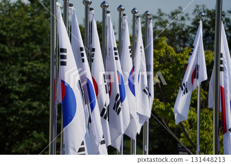 Row of South Korean National Flags on Flagpoles Row of South Korean National Flags on Flagpoles 131448213