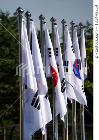 Row of South Korean National Flags on Flagpoles 131448214
