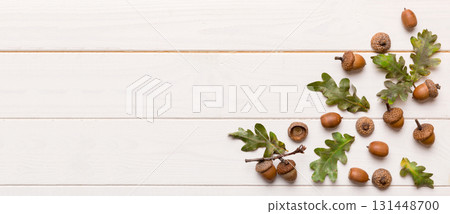 Branch with green oak tree leaves and acorns on colored background, close up top view 131448700