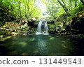 A small waterfall and basin surrounded by greenery 131449543