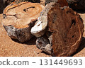 A video of a stack of firewood on floor 131449693