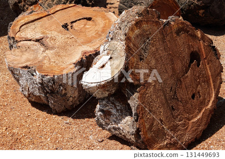 A video of a stack of firewood on floor 131449693