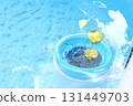 Top view of the blue skimmer for cleaning the pool in clear water. Contaminated pool cleaning concept 131449703