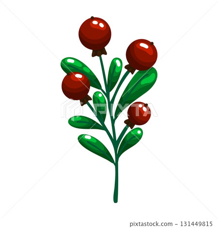 Christmas Red Berries with Green Leaves Illustration 131449815