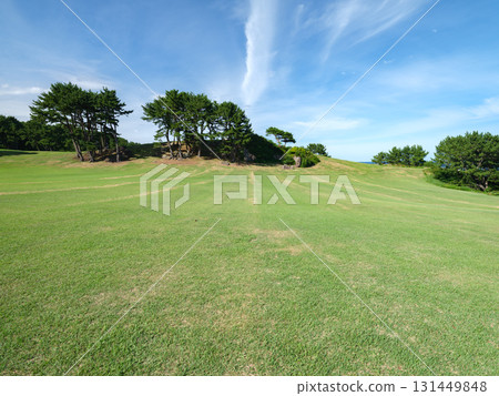 種差海岸 - 陽光明媚的夏日 種差海岸 - 陽光明媚的夏日 131449848