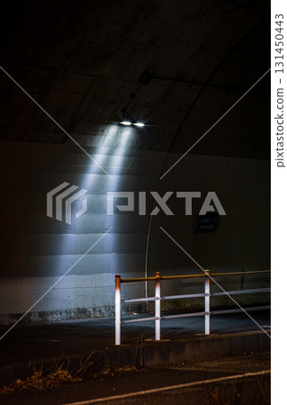 Entrance of the tunnel 131450443