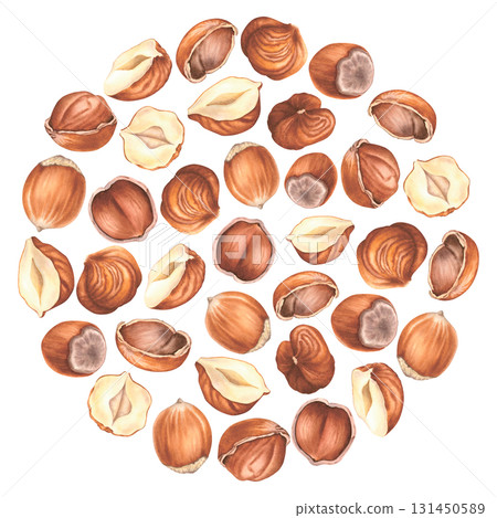Round backdrop of peeled, whole, halved and crushed hazelnuts. Hand drawn watercolor illustration of organic food on isolated background. Edible raw seed. Forest filbert nuts for packaging design. Round backdrop of peeled, whole, halved and crushed hazelnuts. Hand drawn watercolor illustration of organic food on isolated background. Edible raw seed. Forest filbert nuts for packaging design. 131450589