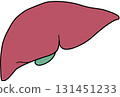 Human liver 131451233
