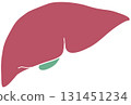 Human liver 131451234