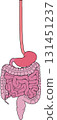 Human digestive system 131451237
