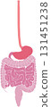 Human digestive system 131451238