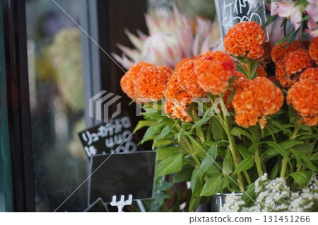 商店前的一束雞冠花 131451266