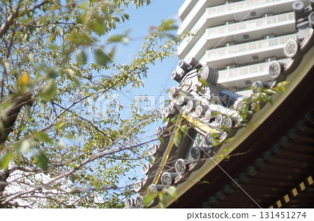 善光寺鐘樓的屋頂和葉子 善光寺鐘樓的屋頂和葉子 131451274