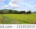 Rice fields spread out in front of Haniyasu Shrine with the Sefuri mountain range in the background 131452010