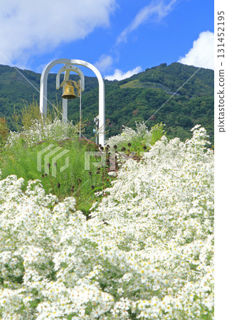 白馬五龍滑雪場的秋季埃斯卡爾花園 白馬五龍滑雪場的秋季埃斯卡爾花園 131452195