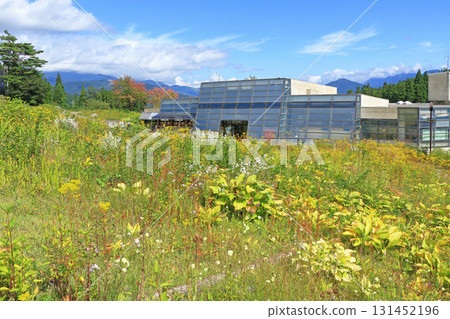 白馬五龍滑雪場的秋季埃斯卡爾花園 白馬五龍滑雪場的秋季埃斯卡爾花園 131452196