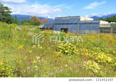 白馬五龍滑雪場的秋季埃斯卡爾花園 白馬五龍滑雪場的秋季埃斯卡爾花園 131452197