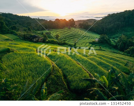 Drone aerial view of rice terrace field In Chiang Mai,Sustainable agriculture and nature 131452450