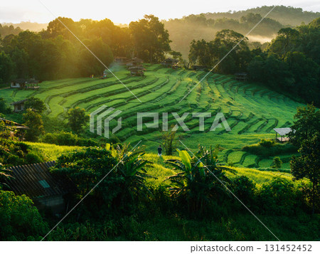 Drone aerial view of rice terrace field In Chiang Mai,Sustainable agriculture and nature 131452452