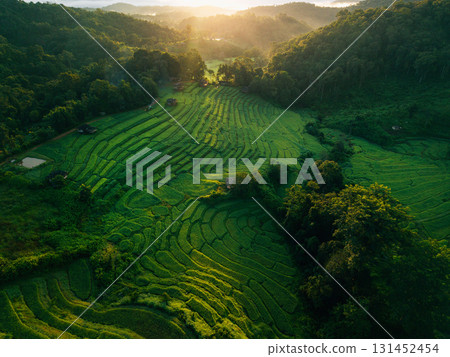 Drone aerial view of rice terrace field In Chiang Mai,Sustainable agriculture and nature 131452454