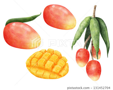 水彩風格芒果樹水果插圖集 131452704