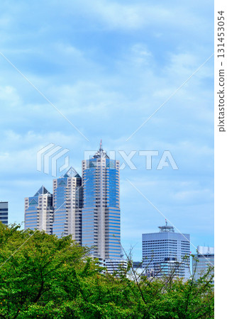 西新宿新宿公園塔大廈 131453054