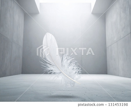white feather on a white concrete interior 131453198