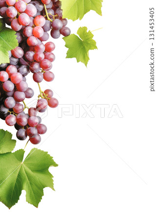 Fresh red and purple grapes with vibrant green leaves. Isolated on transparent background. PNG, cutout 131453405