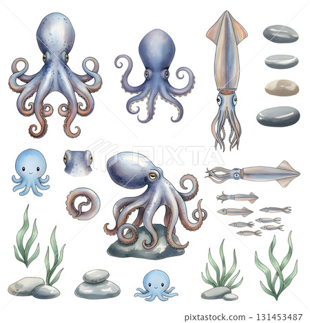 Set of squid characters. Watercolour illustration design. 131453487