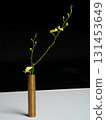 Vase and Oncidium 131453649