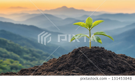 A young green sprout on a pile of earth symbolizes ecology, growth and sustainable development. A young green sprout on a pile of earth symbolizes ecology, growth and sustainable development. 131453848