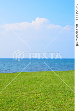 Grassland hills, sea, blue sky 131454057