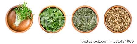 Cilantro and coriander seeds, in wooden bowls. From left to right fresh, ready to eat, green coriander seedlings, fresh and dried cilantro leaves, and whole, dried coriander seeds. Coriandrum sativum. 131454060