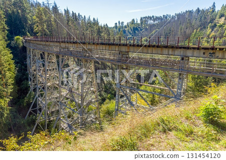 Historic steel railway bridge Ziemestalbrucke Germany 131454120