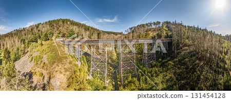 Panorama Ziemestalbrucke railway viaduct Thuringia 131454128