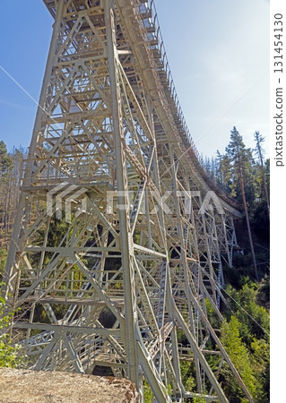 Ziemestalbrucke steel railway viaduct forest view 131454130