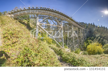 Steel railway bridge Ziemestalbrucke Thuringia 131454131