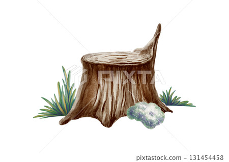 Whimsical tree stump with soft grass and fluffy moss,created with watercolor washes and textured colored pencils.For childrens books,nature themes,and precshool educational projects 131454458