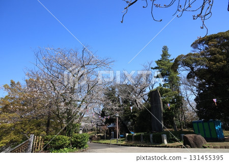 東京北區飛鳥山公園櫻花盛開 東京北區飛鳥山公園櫻花盛開 131455395
