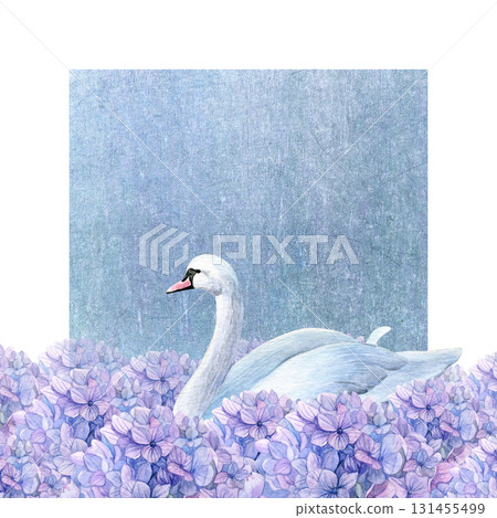 Postcard with a swan swimming in a purple hydrangea 131455499