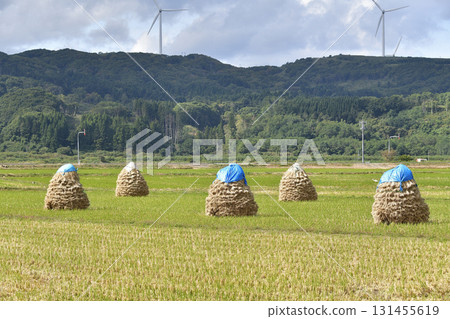 拍攝北海道上之國市秋季堆積如山的稻米 拍攝北海道上之國市秋季堆積如山的稻米 131455619