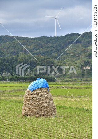 Photographing rice piling up in autumn in Kaminokuni, Hokkaido 131455625
